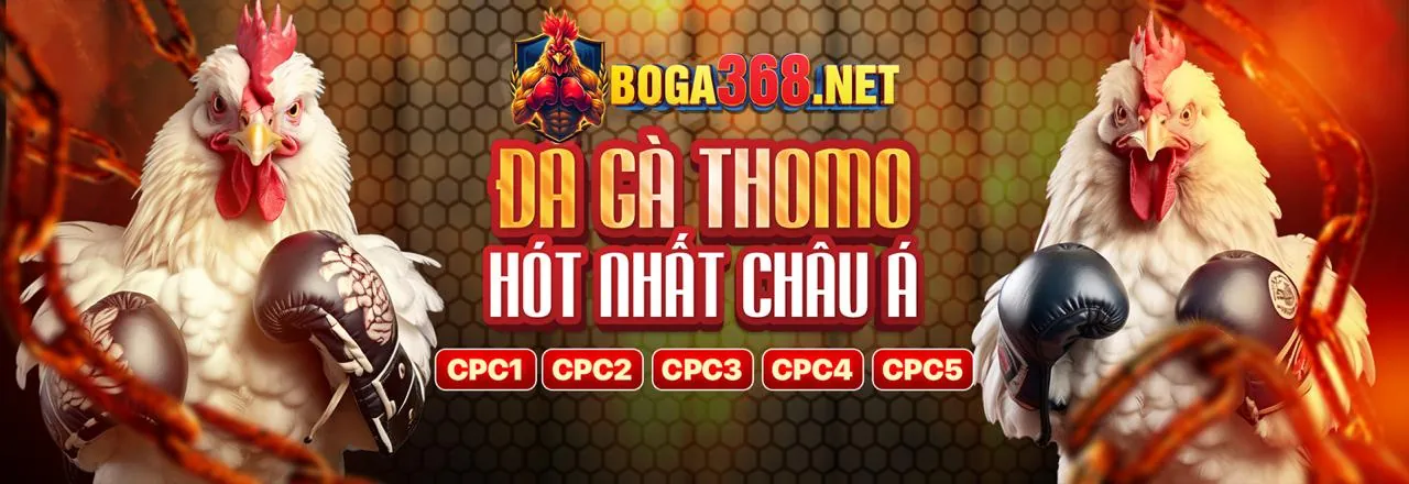 Ưu đãi và khuyến mãi độc quyền yb88 win